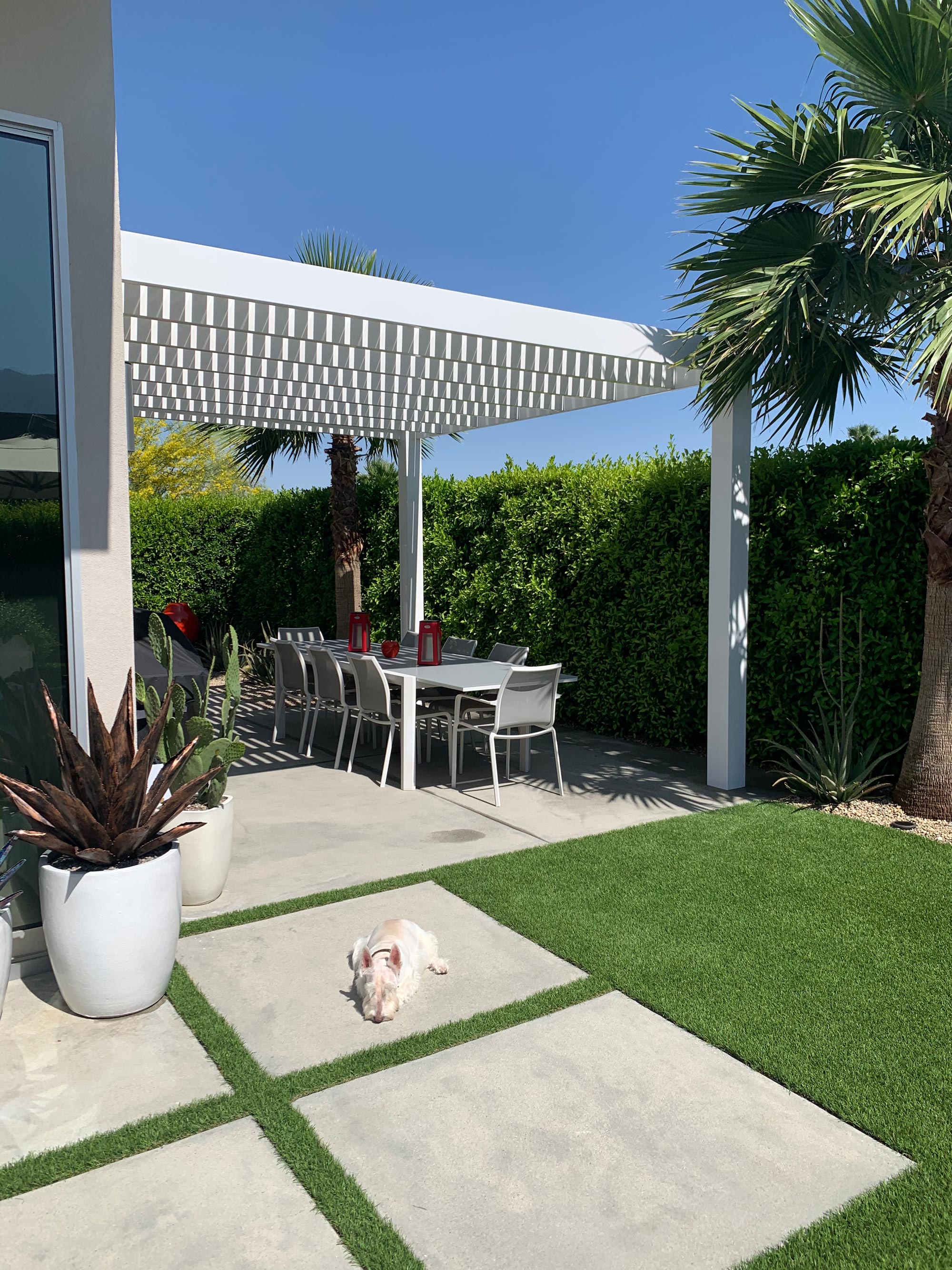 modern pergola over patio with outdoor dining table and cute puppy sleeping