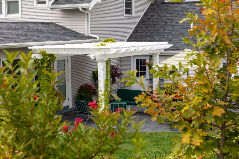 Side view of a freestanding white pergola with vines growing on the posts.
